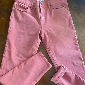 Loft Colored Denim Jegging Jeans SZ 10